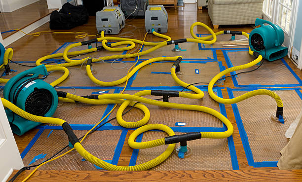 Professional Water Extraction technician working in Crestwood, MO